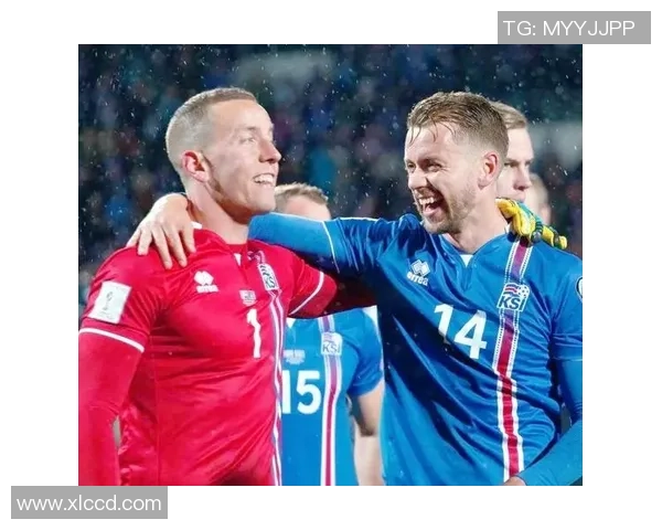 冰岛足球明星盘点及其在国际赛场上的辉煌成就与影响力分析