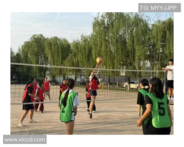 全国锦标赛分析：西安排球队战术意识与表现的深度剖析