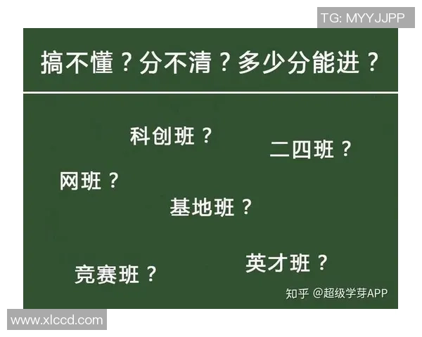 广州羽毛球队以69分稳居挑战赛积分榜首位展现强劲实力