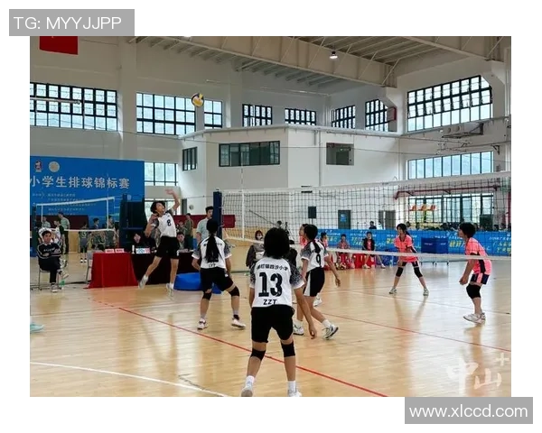 排球盛宴：深入成都排球队的默契与协作之道