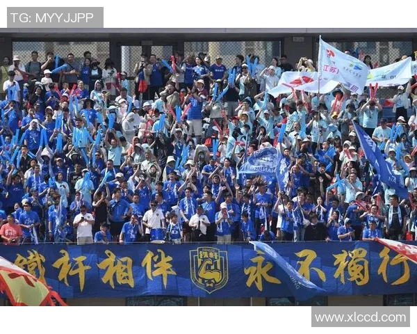 南京排球队团队协作的独特优势与其他球队的深度对比分析