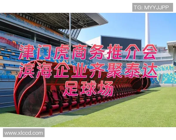 泰达足球俱乐部最新动态分析及未来发展规划探讨