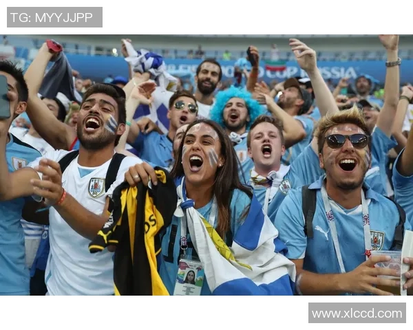 蠡县足球店全新开业球迷聚集地尽享足球热情与专业服务