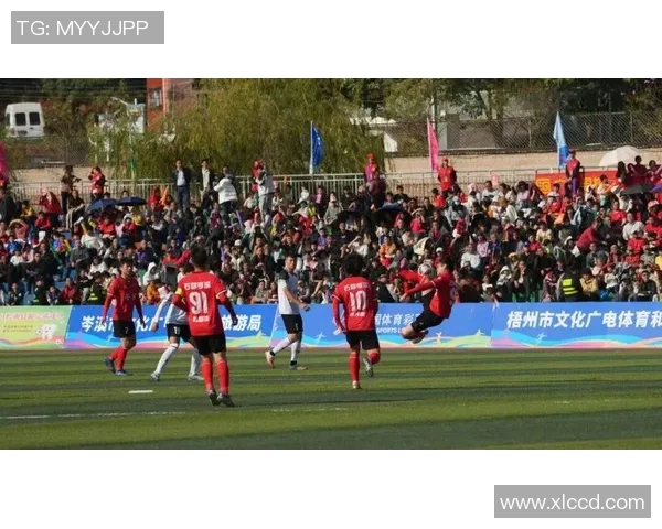 足球有话说球迷心声与赛场故事的真实碰撞与情感交织 足球有话说球迷心声与赛场故事的真实碰撞与情感交织